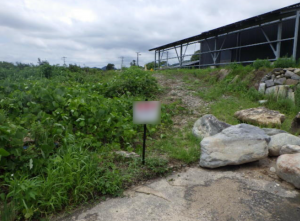 佐賀市大和町、土地のその他画像です