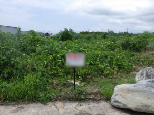 佐賀市大和町、土地のその他画像です