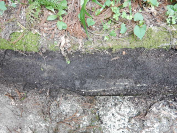 佐賀市富士町、土地のその他画像です