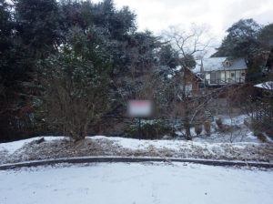 佐賀市富士町、土地のその他画像です