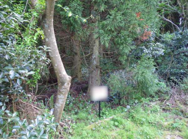 佐賀市富士町、土地のその他画像です