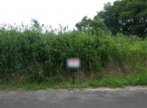 佐賀市大和町、土地のその他画像です