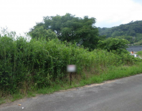 佐賀市大和町、土地のその他画像です