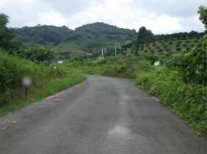 佐賀市大和町、土地の前面道路を含む現地写真画像です