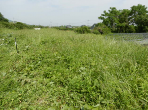 佐賀市大和町、土地のその他画像です