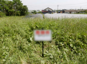 佐賀市大和町、土地のその他画像です