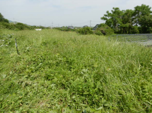 佐賀市大和町、土地のその他画像です