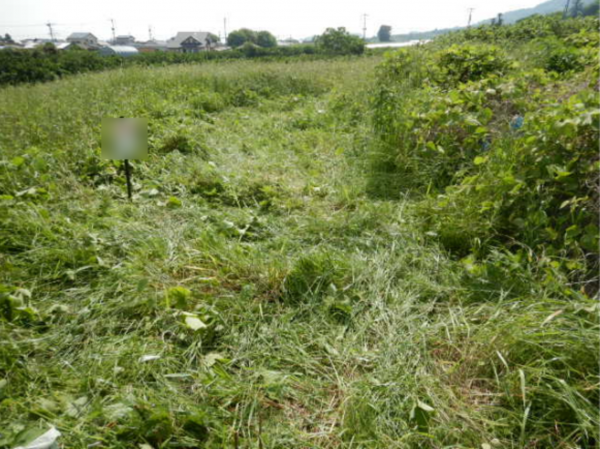 佐賀市大和町、土地のその他画像です