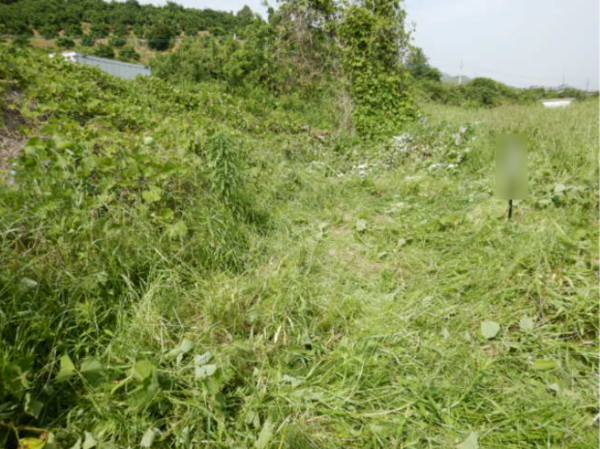 佐賀市大和町、土地のその他画像です