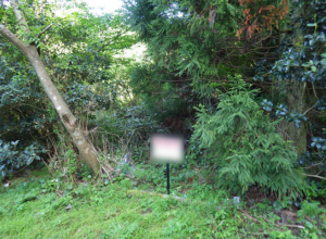 佐賀市富士町、土地のその他画像です