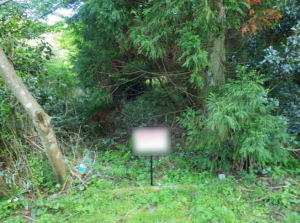 佐賀市富士町、土地のその他画像です