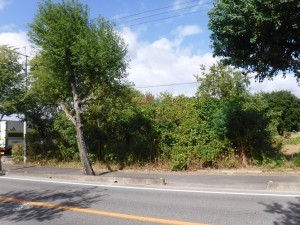 佐賀市大和町、土地の外観画像です