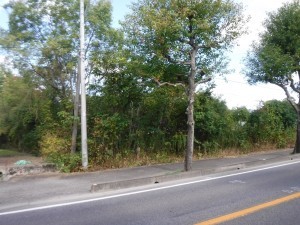 佐賀市大和町、土地の外観画像です