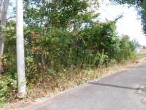 佐賀市大和町、土地の外観画像です