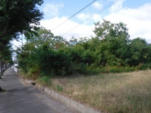 佐賀市大和町、土地の外観画像です