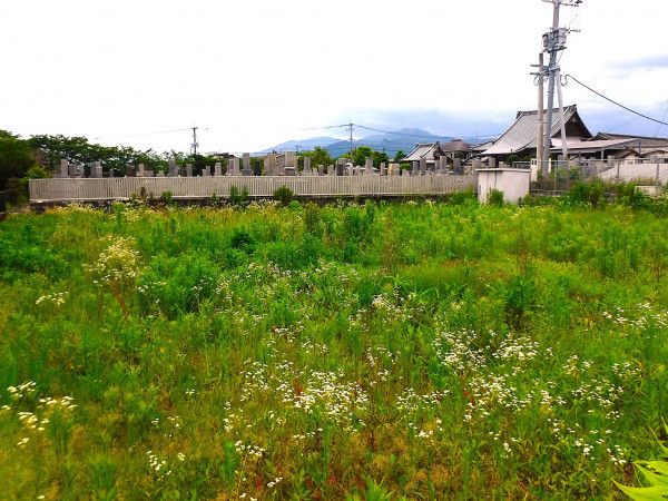 佐賀市金立町、土地の外観画像です