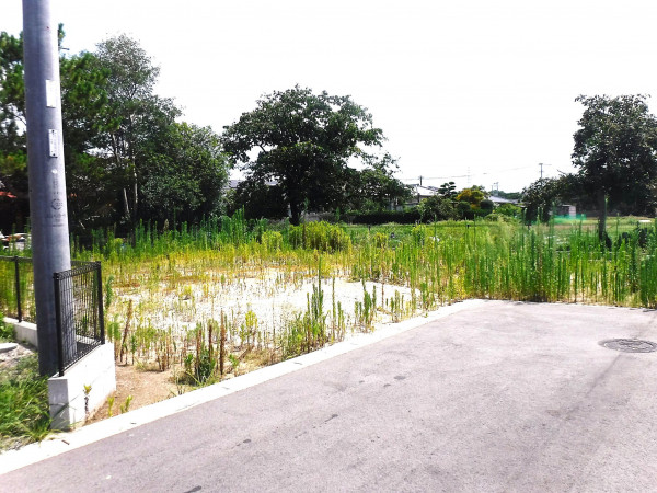 佐賀市鍋島町、土地の画像です