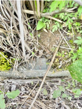 佐賀市三瀬村杠、土地のその他画像です