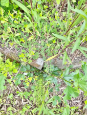 佐賀市三瀬村杠、土地のその他画像です