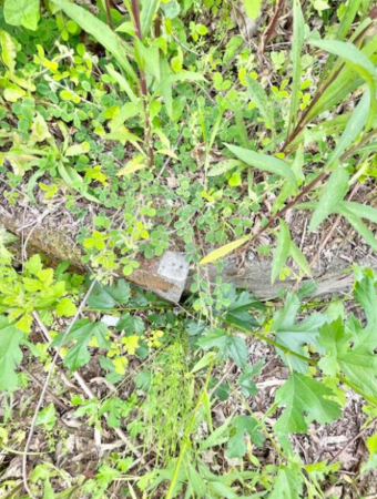 佐賀市三瀬村杠、土地のその他画像です