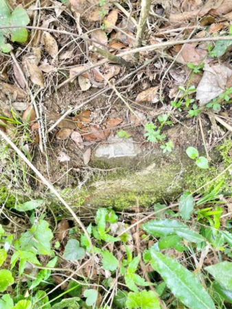 佐賀市三瀬村杠、土地のその他画像です