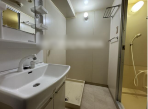 佐賀市神野東、中古マンションの洗面画像です