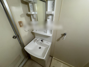 佐賀市神野東、中古マンションの洗面画像です