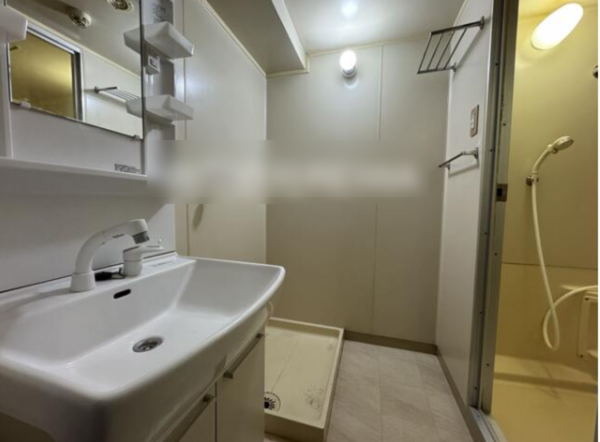 佐賀市神野東、中古マンションの洗面画像です