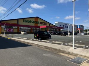 佐賀市兵庫町、新築一戸建てのドラッグストア画像です