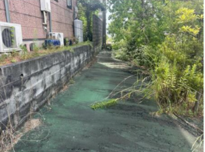 佐賀市大和町、収益物件/店舗付住宅の外観画像です