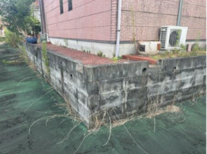 佐賀市大和町、収益物件/店舗付住宅の外観画像です