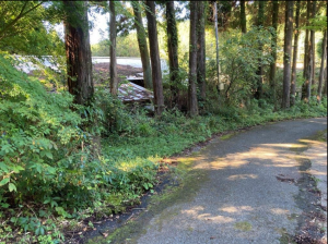 佐賀市三瀬村三瀬、土地の外観画像です
