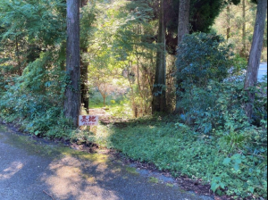 佐賀市三瀬村三瀬、土地の外観画像です