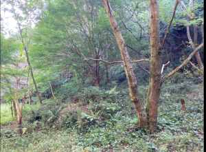 佐賀市三瀬村三瀬、土地の外観画像です