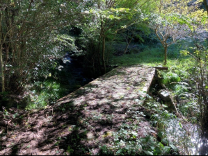 佐賀市三瀬村三瀬、土地の外観画像です