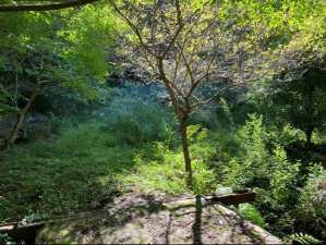 佐賀市三瀬村三瀬、土地の外観画像です