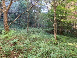 佐賀市三瀬村三瀬、土地の外観画像です