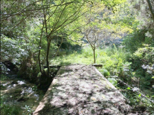 佐賀市三瀬村三瀬、土地の外観画像です