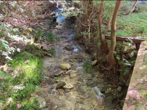 佐賀市三瀬村三瀬、土地の外観画像です