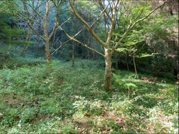 佐賀市三瀬村三瀬、土地の外観画像です