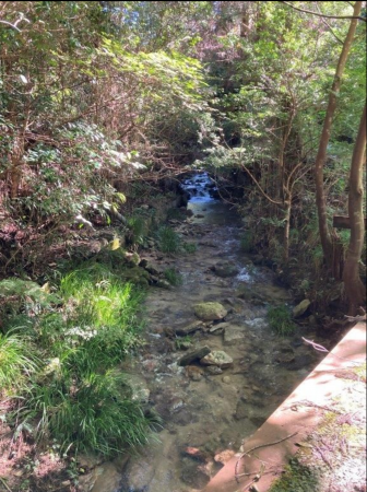 佐賀市三瀬村三瀬、土地の外観画像です