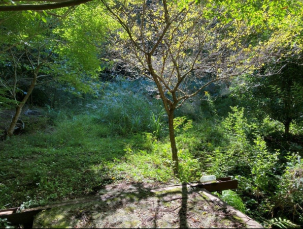 佐賀市三瀬村三瀬、土地の外観画像です