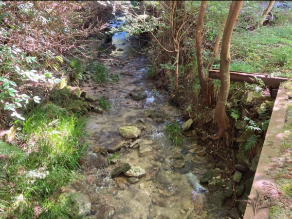 佐賀市三瀬村三瀬、土地の外観画像です