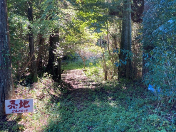 佐賀市三瀬村三瀬、土地の外観画像です