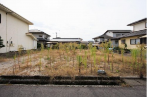 佐賀市大和町、新築一戸建ての外観画像です