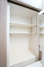 佐賀市鍋島町、新築一戸建ての収納画像です