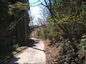 佐賀市三瀬村藤原、土地の外観画像です