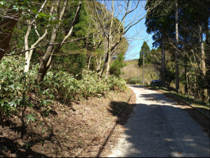 佐賀市三瀬村藤原、土地の外観画像です