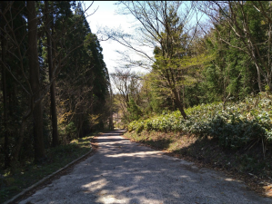 佐賀市三瀬村藤原、土地の外観画像です