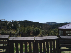 佐賀市三瀬村藤原、土地の外観画像です